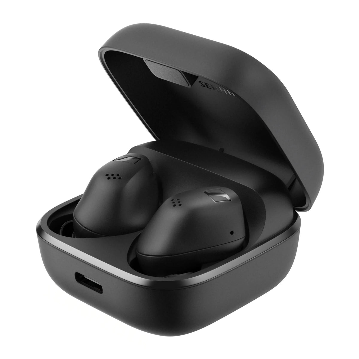 Accentum True Wireless - Oxford Audio Consultants
