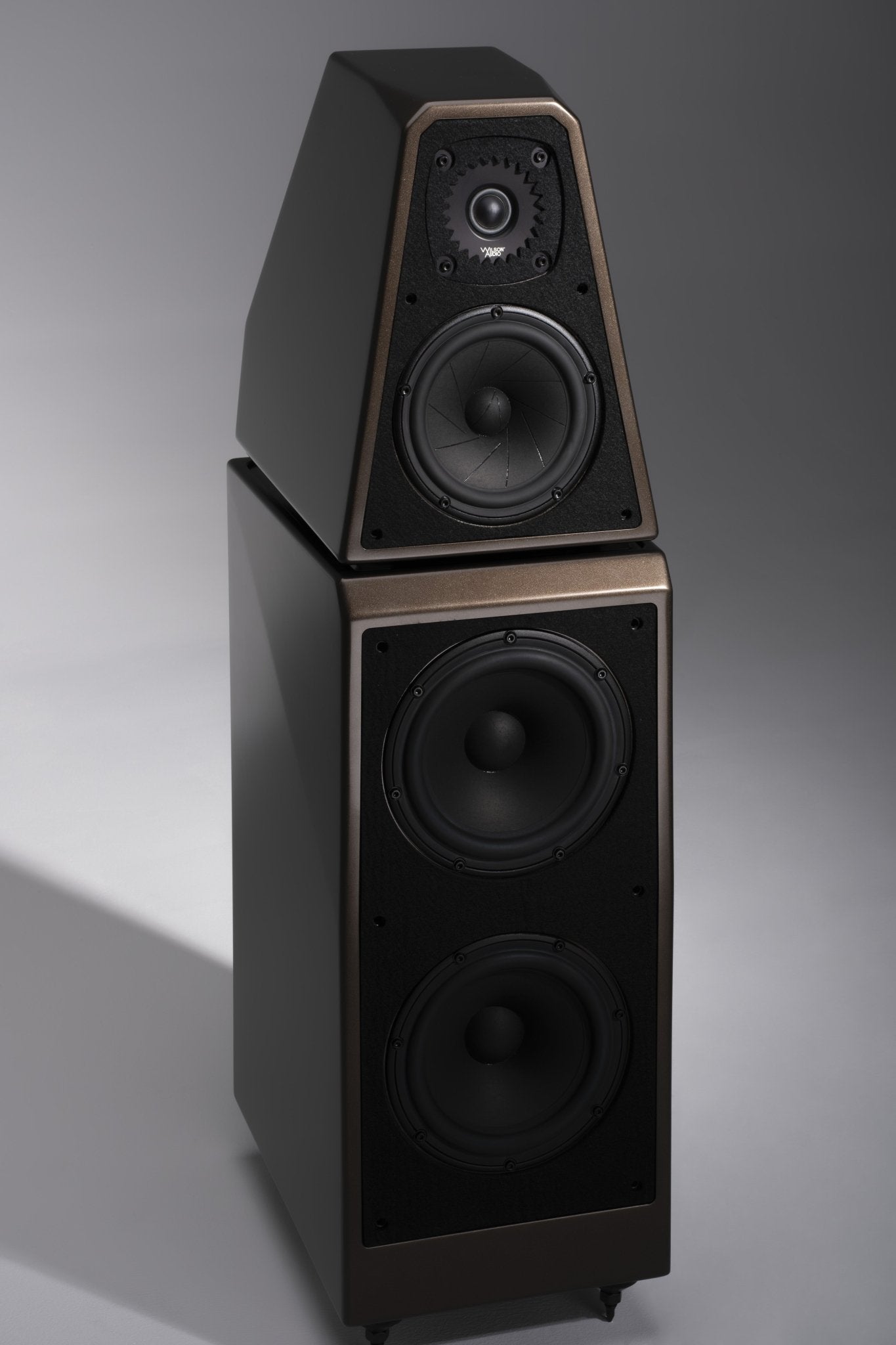 The WATT Puppy - 50th Anniversary - Oxford Audio Consultants